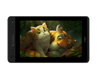Huion Kamvas Pro 13 - 500879 - zdjęcie 1